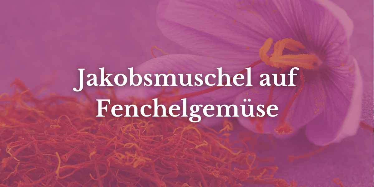 Jakobsmuschel auf Fenchelgemüse