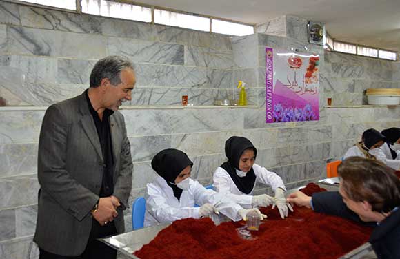 Worauf man bei Safran achten muss!